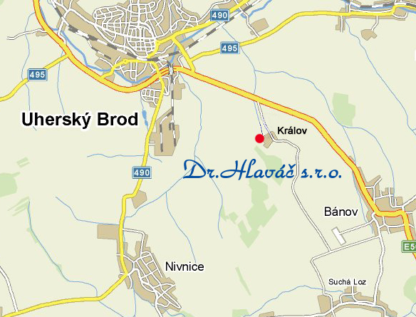 Google-maps